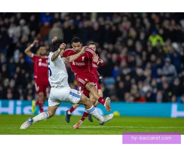 加克波拉起倒地科尔克茨赛后利物浦球员握手彰显体育精神